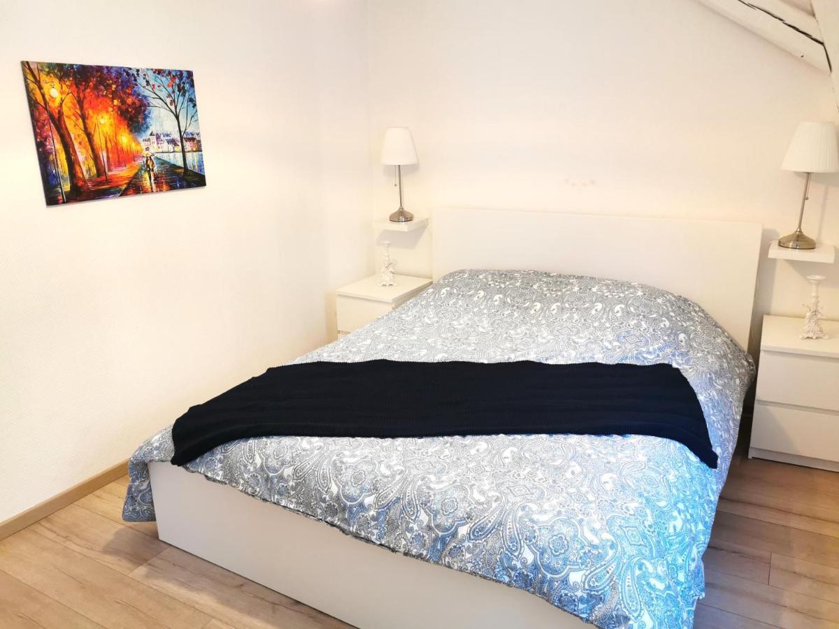 Petite Venise Grand Duplex Turenne Hyper Centre กอลมาร์ ภายนอก รูปภาพ