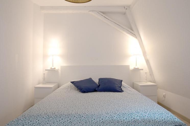 Petite Venise Grand Duplex Turenne Hyper Centre กอลมาร์ ภายนอก รูปภาพ